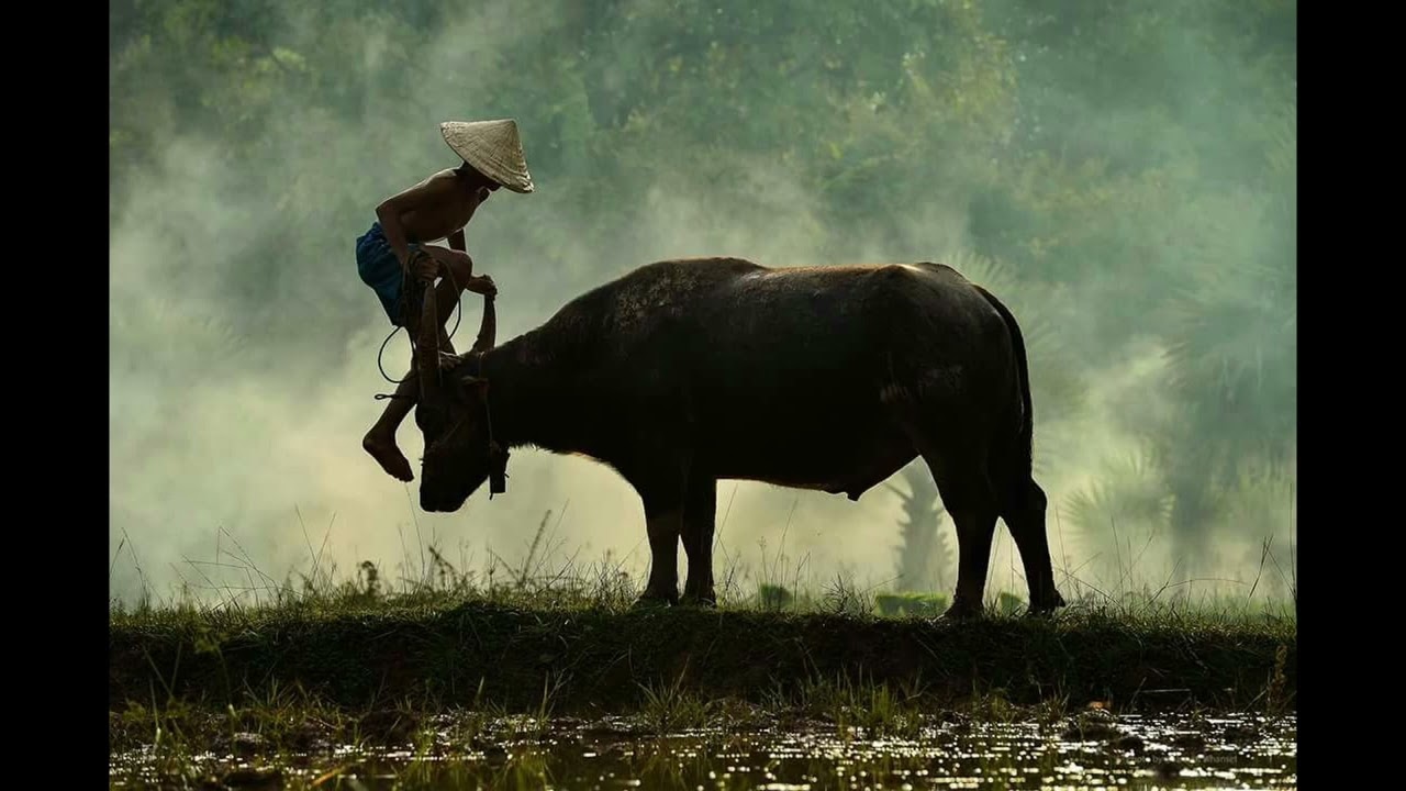 ฟรีบีท (Free Beat) - 