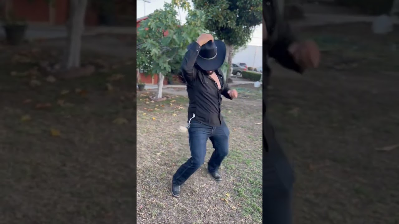 El alacr&aacute;n tumbando ca&ntilde;a