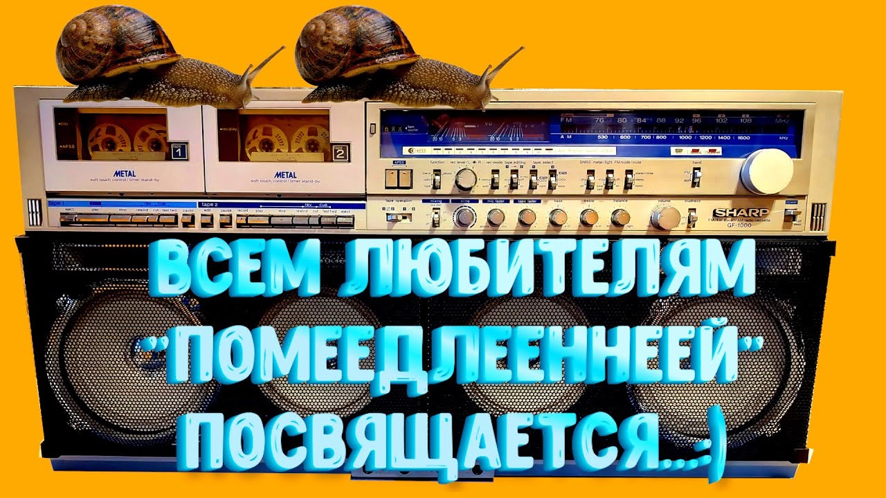 В последний китайский раз о скорости открывания подкассетников и вязкости демпферной смазки