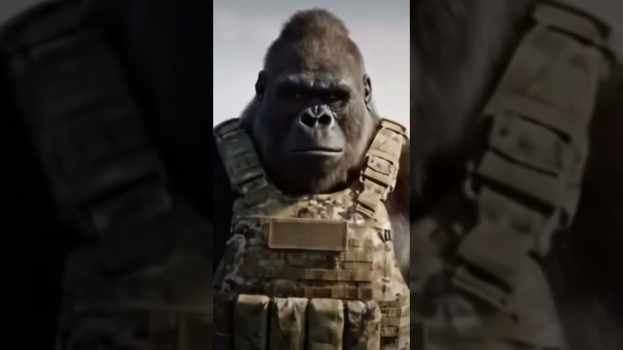 Was trending #foryou #fluffy #gorilla #military #reels