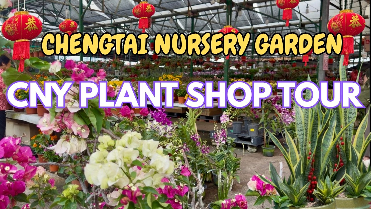 🪴Chengtai Nursery Garden Tour | Year Of The Horse Plant Shopping | Festive CNY Plants