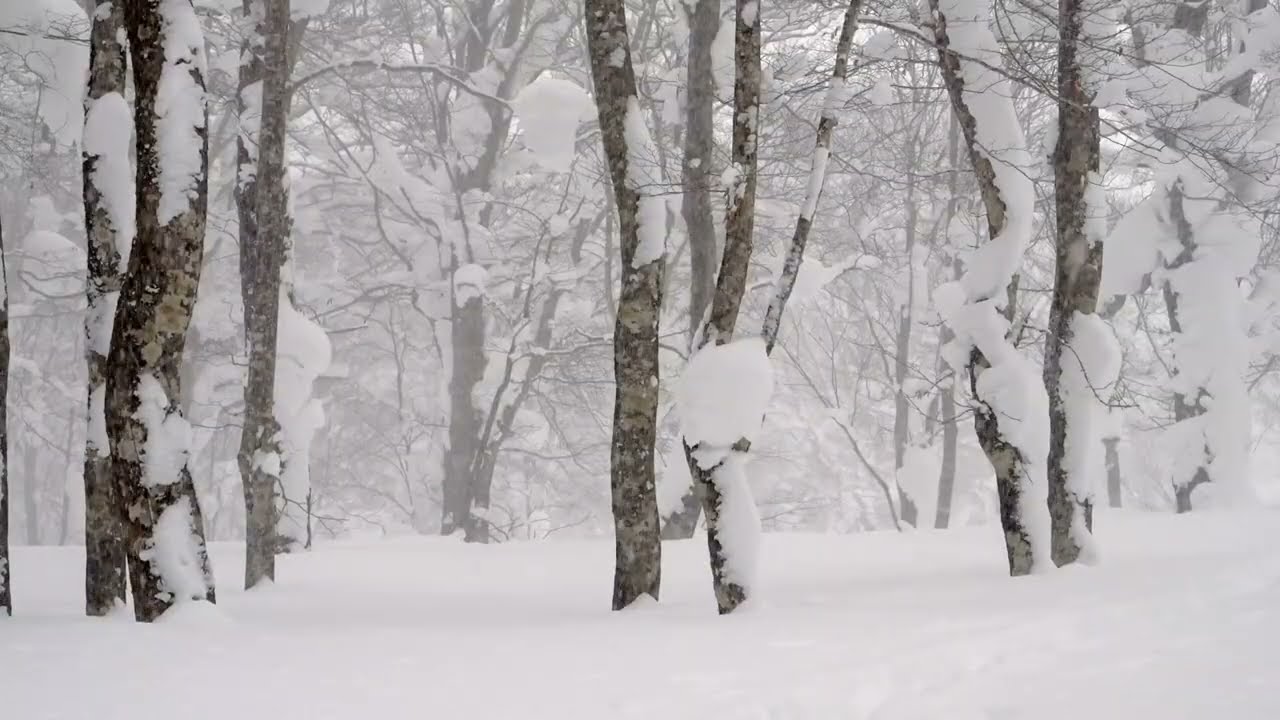 Heimbruch - Winter