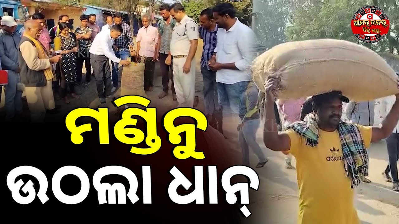 ନିଜର୍ ମେହନତ୍‌ର ଫସଲ୍ ବିକି ଚାଷୀ ଖୁସ୍ |BGH MANDI RU UTHILA DHANA