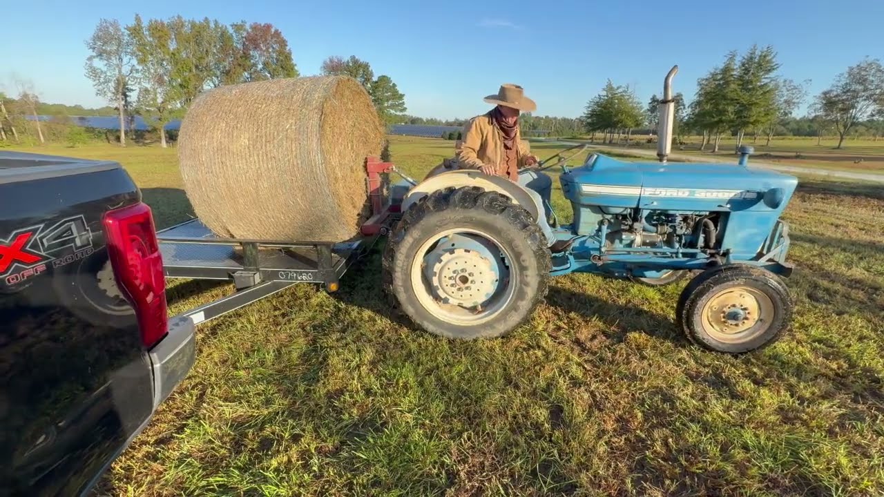 New Help on the Homestead!!!