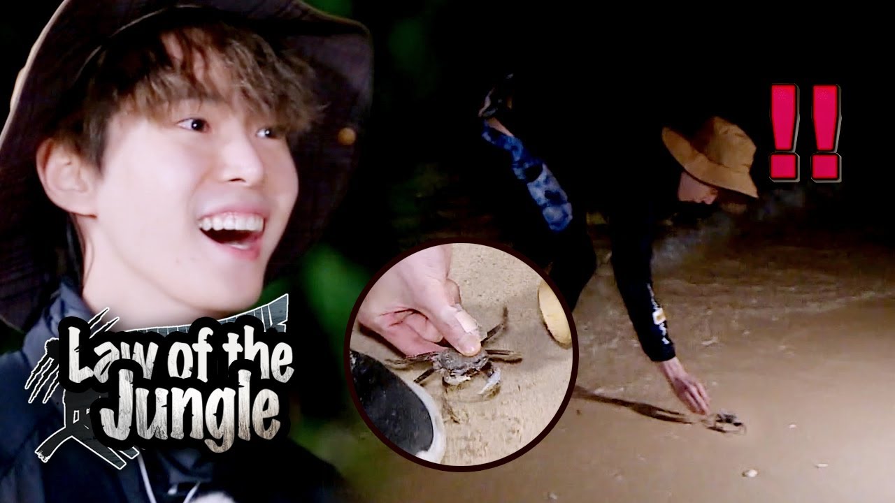 Do Young Tries to Catch it With a Bamboo [Law of the Jungle Ep 392]