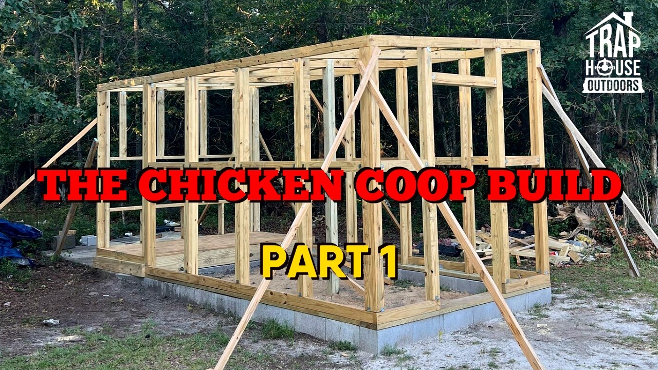Строительство курятника!!! [ЧАСТЬ 1] // Фундамент, каркас и сетка // #vlog #diy