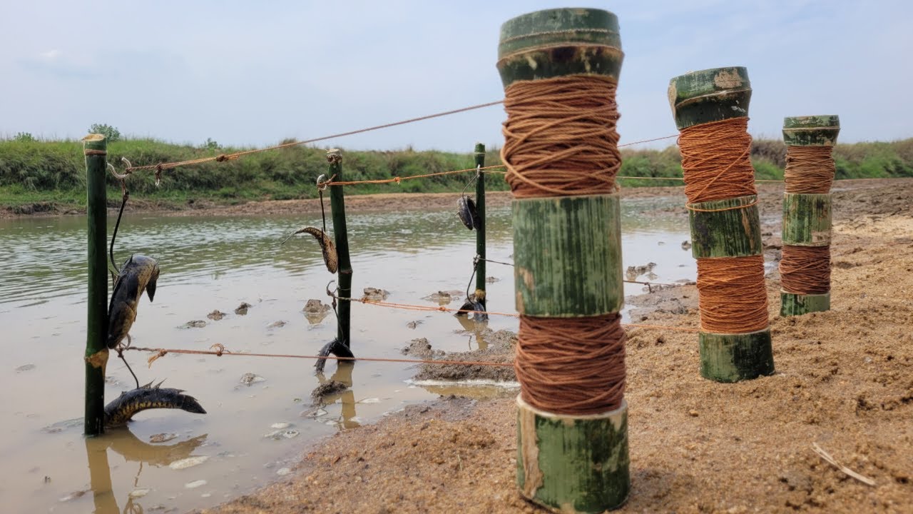 Automatic puller fishing trap innovation Boy Hunting fish with new trapping system. #fishing