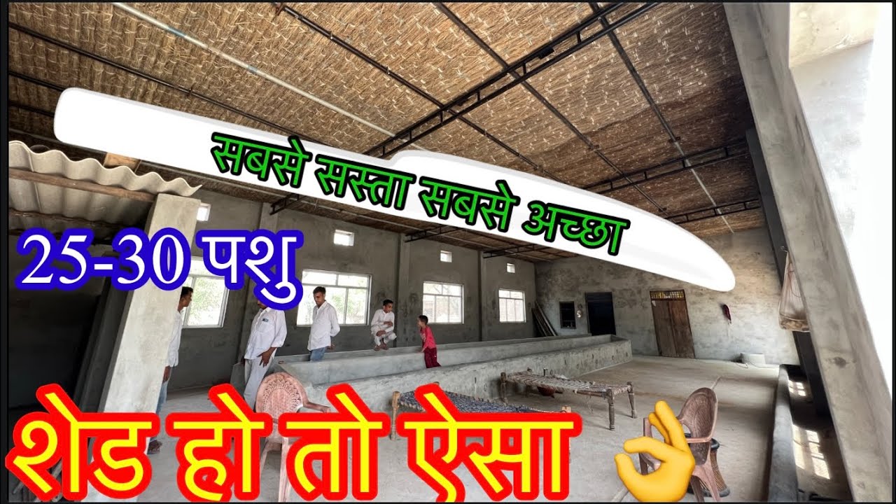 #सबसे_सस्ता #सबसे_अच्छा 👍 #पशुओं का आलीशान #शेड 🏆🏆#संख्या #25-30 #पशु 🎉🎉