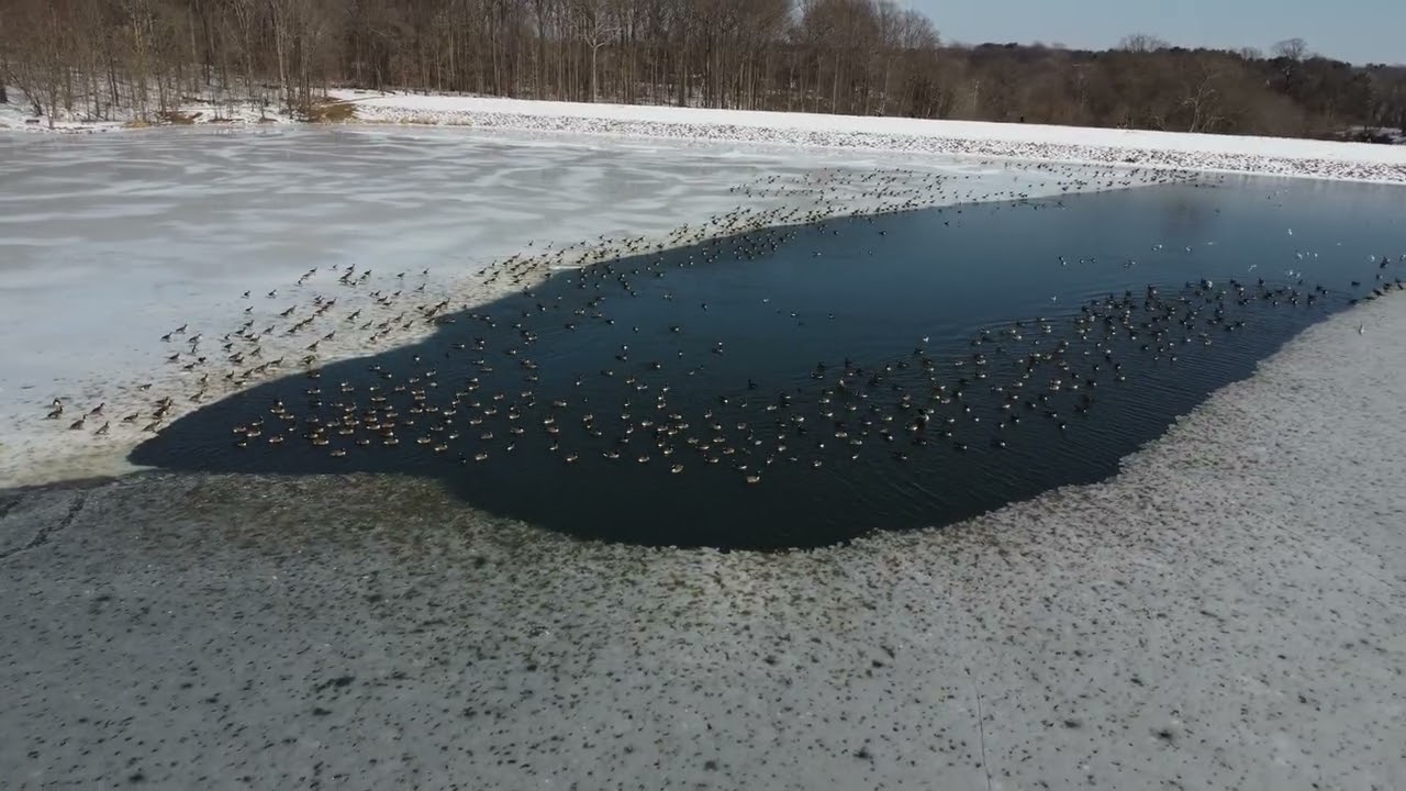 Frozen Centennial Park - Columbia, MD (surprise at the end)