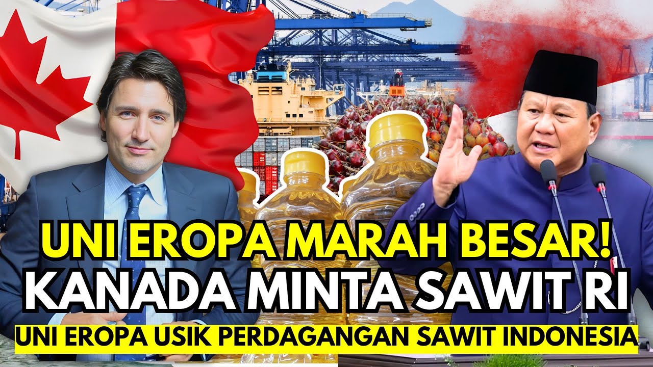Geger! Kanada Akhirnya Minta Sawit Indonesia, Uni Eropa Langsung Murka!