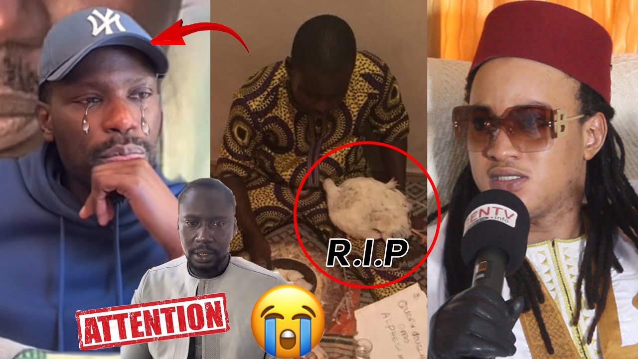 Mort😭Kaliphone Sall￼ dans deux jours Allahou Akbar Koukandé Attaque Bamba Djigui 🥲🥲