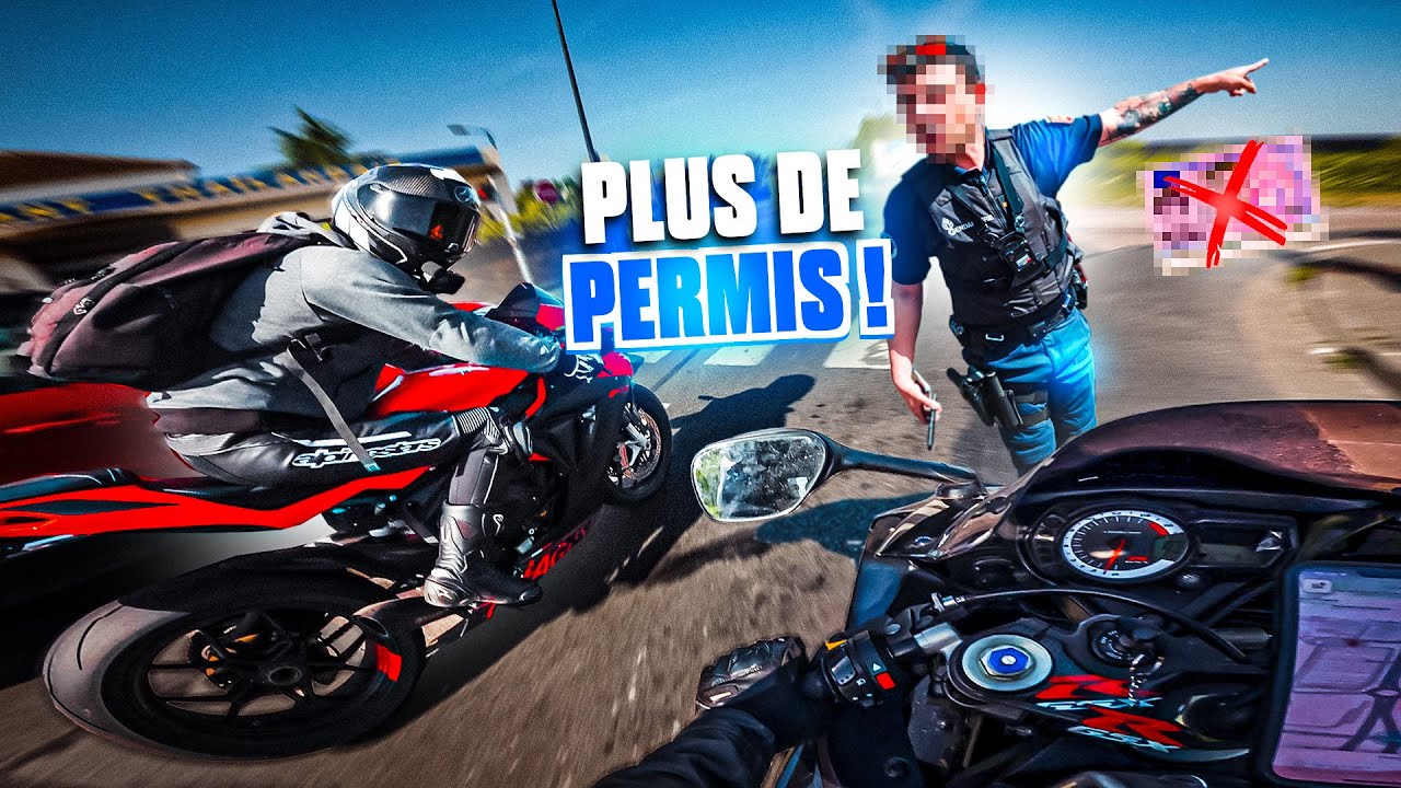 ON PERD (vraiment) LE PERMIS 😢❌