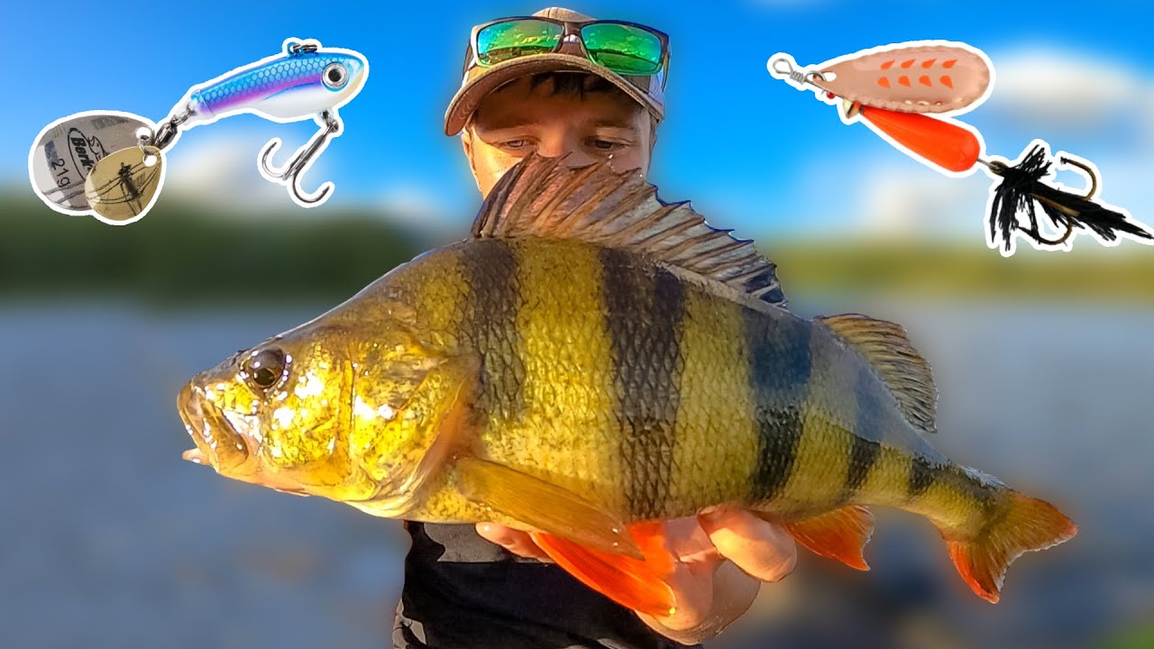 Classic vs. Modern Lures From Abu Garcia & Berkley (What Works Best?!) | Team Galant
