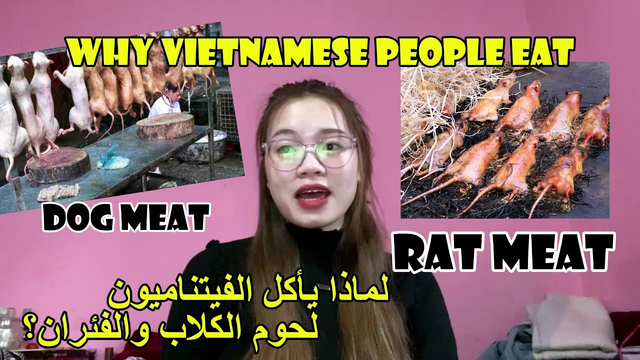 WHY DO VIETNAMESE PEOPLE EAT DOG AND RAT MEAT? اكل الكلاب والفئران في فيتنام؟ #vietnamesefood