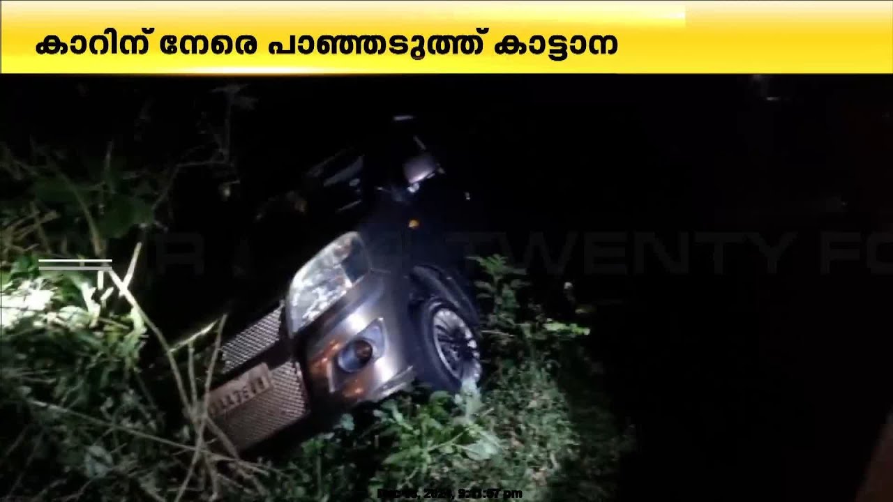 കാട്ടാനക്കലി വീണ്ടും... പത്തനംതിട്ടയിൽ കാറിന് നേരെ പാഞ്ഞടുത്ത് കാട്ടാന | Pathanamthitta