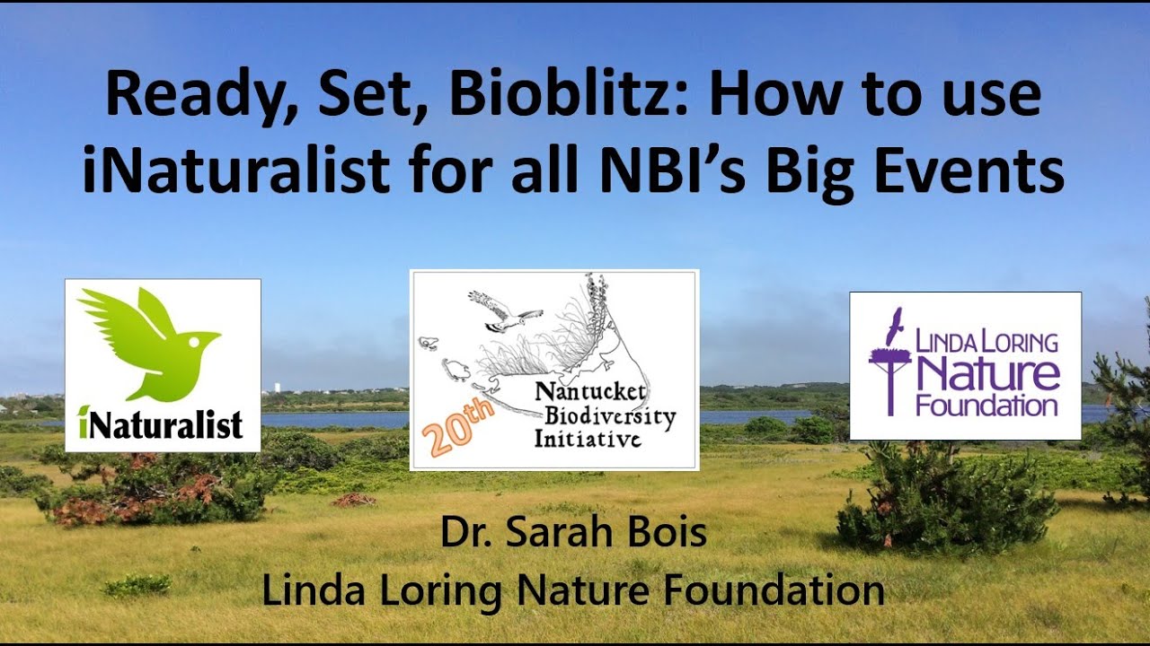 Ready, Set, Bioblitz: How to use iNaturalist for all NBI&rsquo;s Big Events
