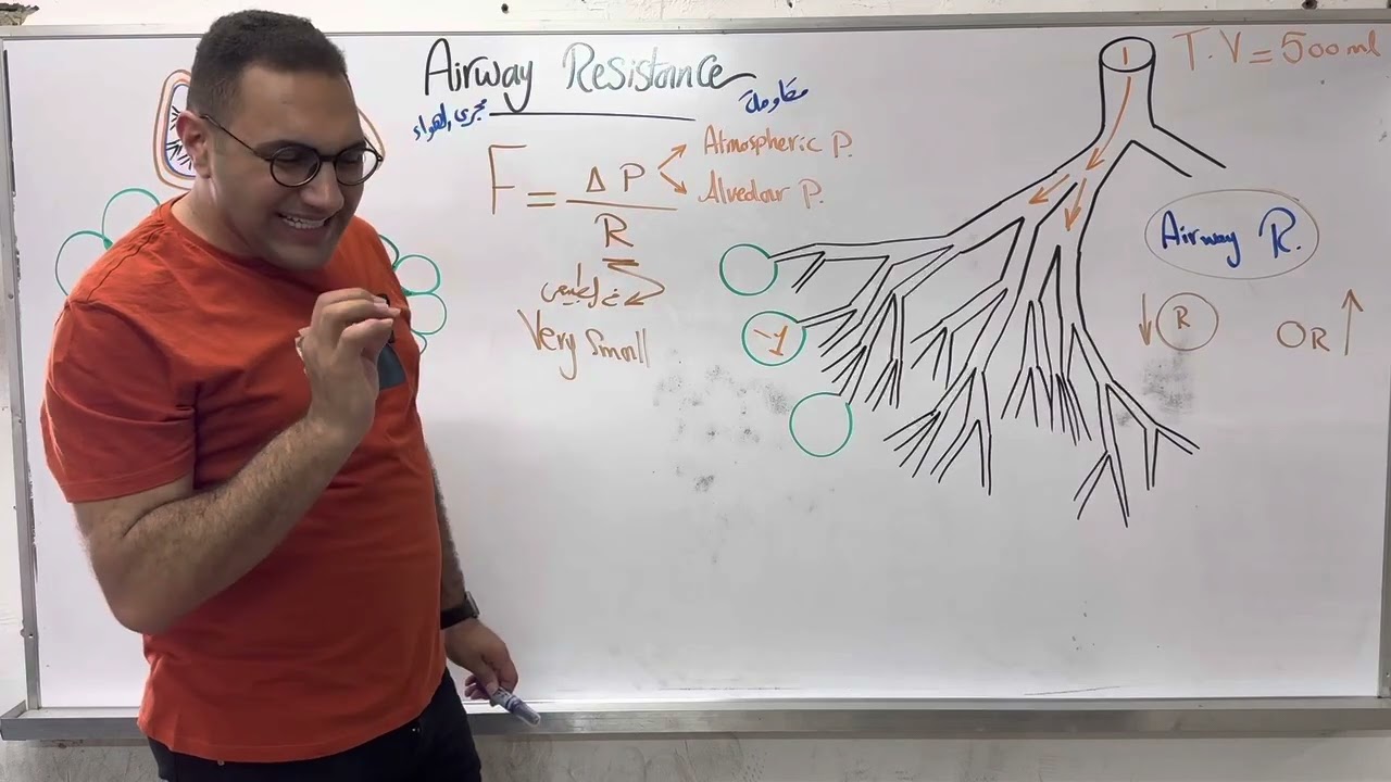Respiration-6 (Airway Resistance, Dead Space)