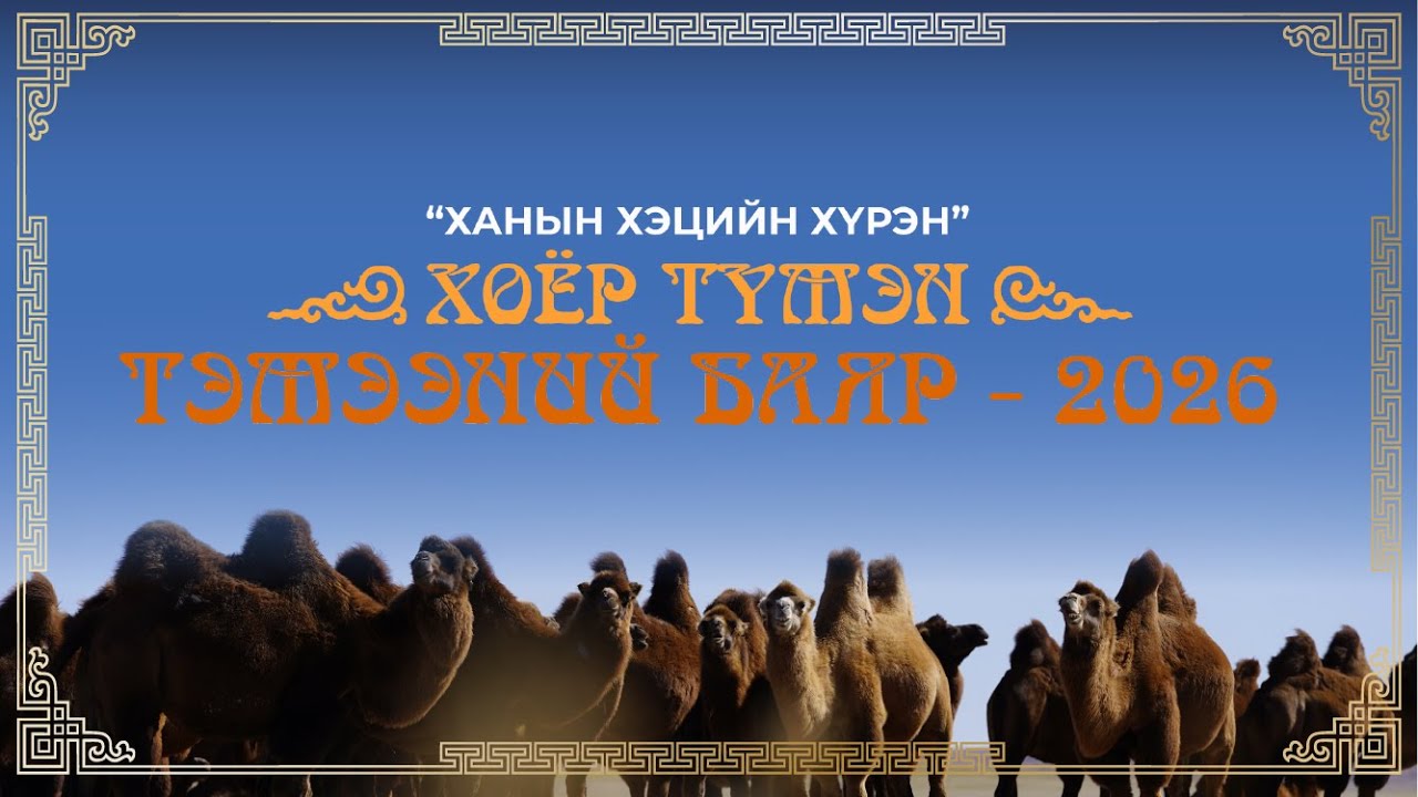 Ханын хэцийн хүрэн 