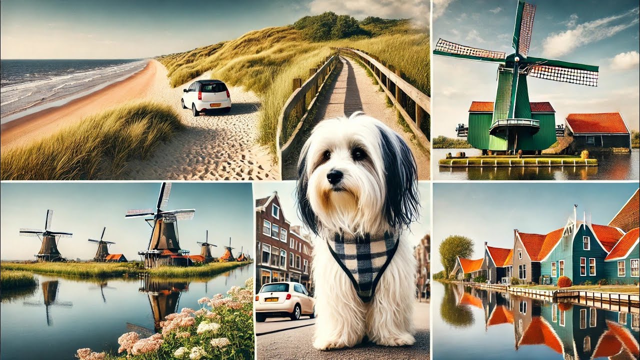Hiking in Castricum & Durgerdam | roadtrip to Zaanse Schans | Noord Holland | Netherlands