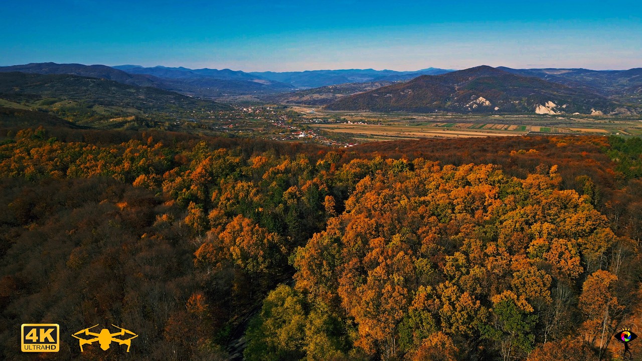 TransCislău DJ102C văzut din dronă 🍂 – Culorile toamnei în Munții Buzăului 🇷🇴 | Zbor cinematic 4K
