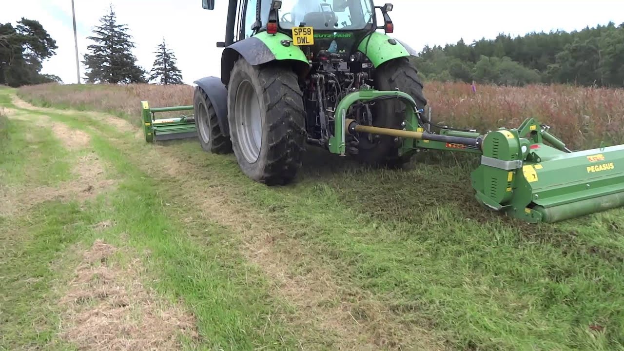 Celli Pegasus & Gemeni topper