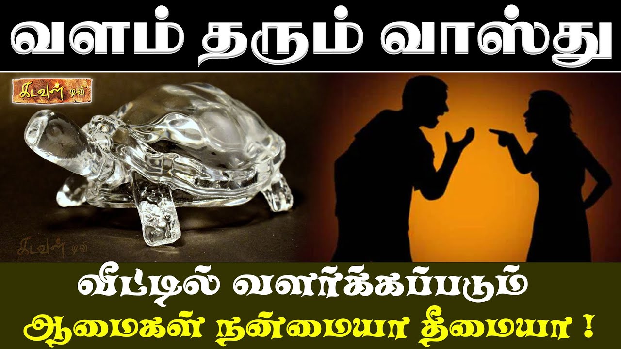 வீட்டில் வளர்க்கப்படும் ஆமைகள் நன்மையா தீமையா ! | Vastupalan | Kadavul TV