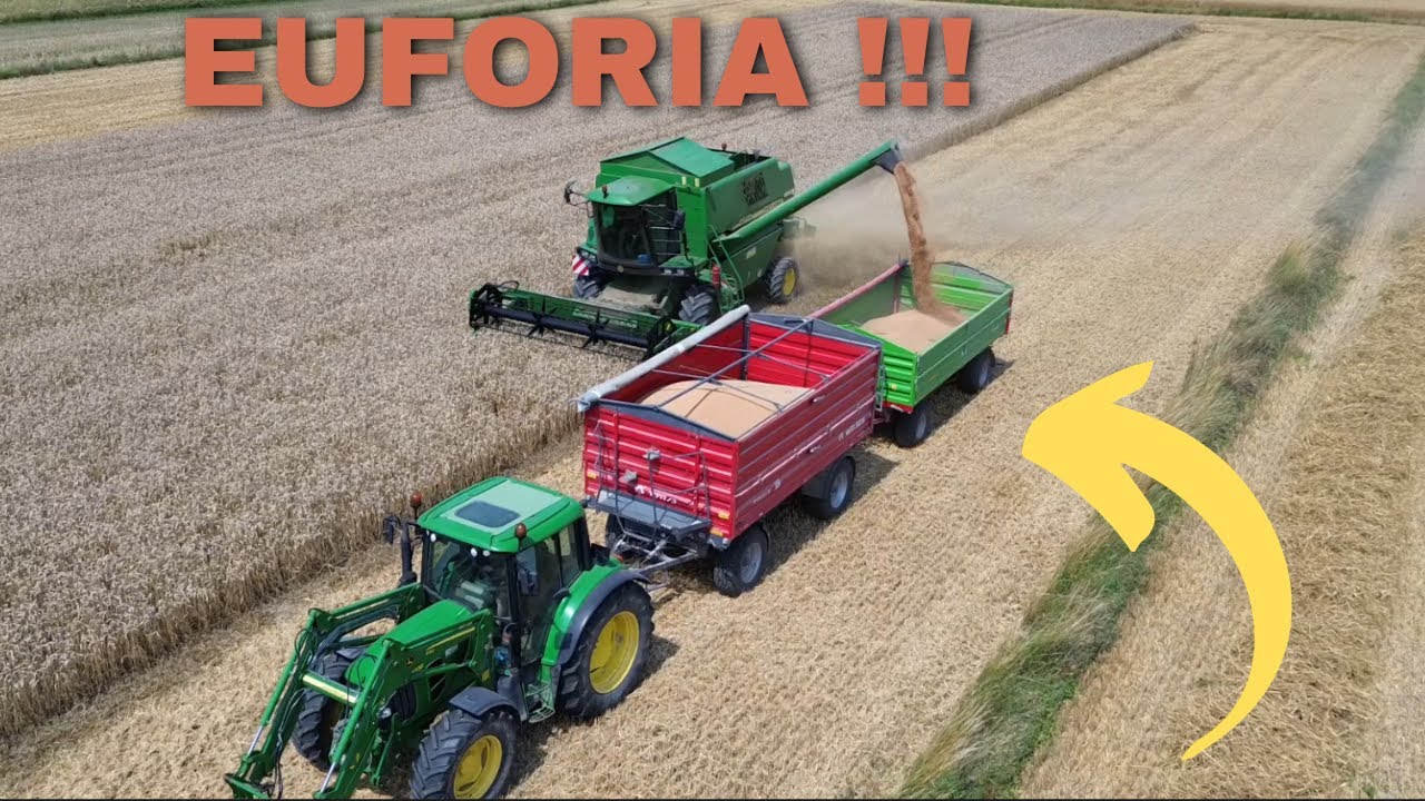 Żniwa 2024 - Pszenica Euforia jest dobrze !!! ⭐John Deere 1450 CWS⭐ John Deere 6330⭐