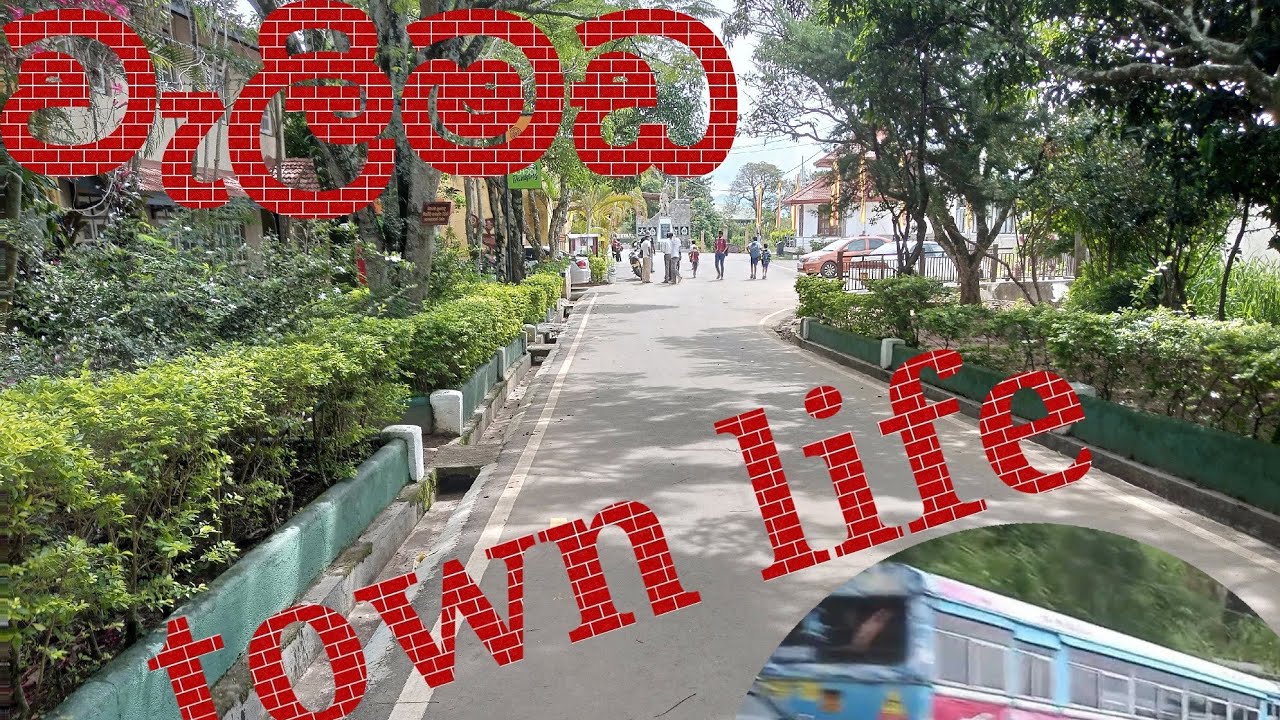 jouney through Life in  Walimada town/ වැලිමඩ ජන ජීවිතය /travel news/city life/difficult life