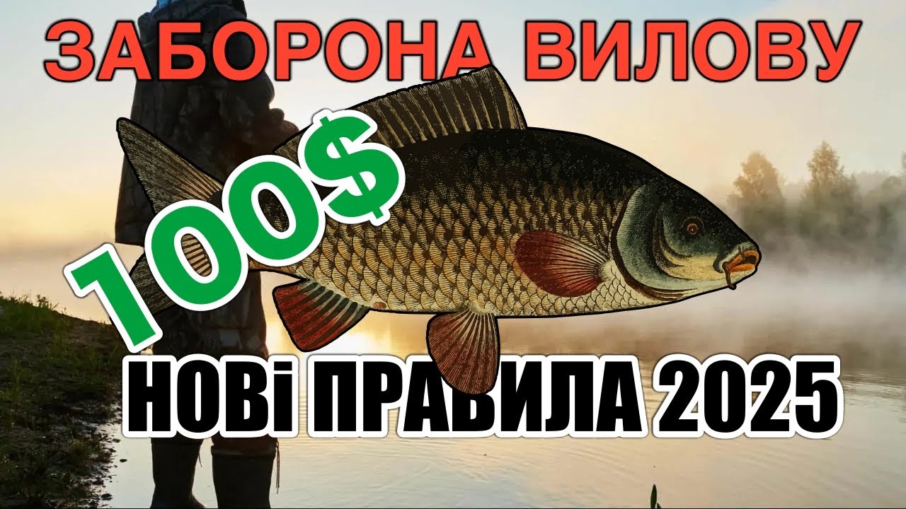 НОВІ ШТРАФИ! Сезон Нересту УКРАЇНА! Коли можна на риболовлю у 2025 році?