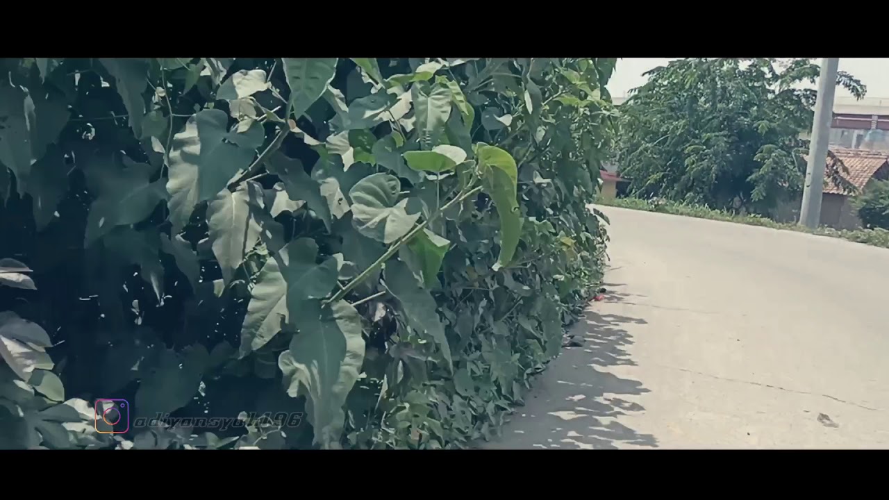 #VLOG #vlogharian