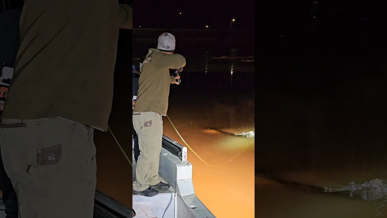 Holding my own with the slingshot #bowfishing #catapult #archery