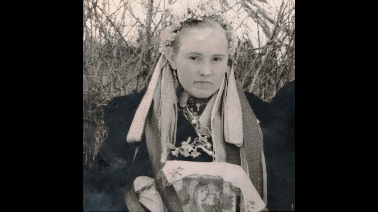 ПЕРША СЕРІЯ ПРОЄКТУ 