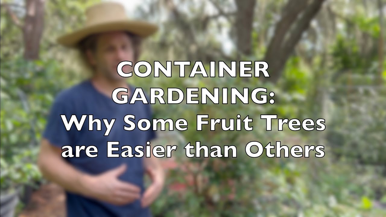 Container Gardening Tropical Fruit Trees: Why Some are Easier than Others