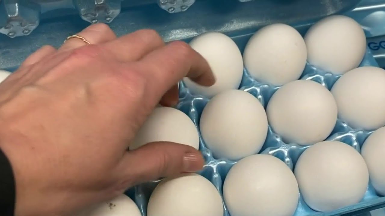 Price hike: Average price for eggs is $4 for a dozen eggs in Houston