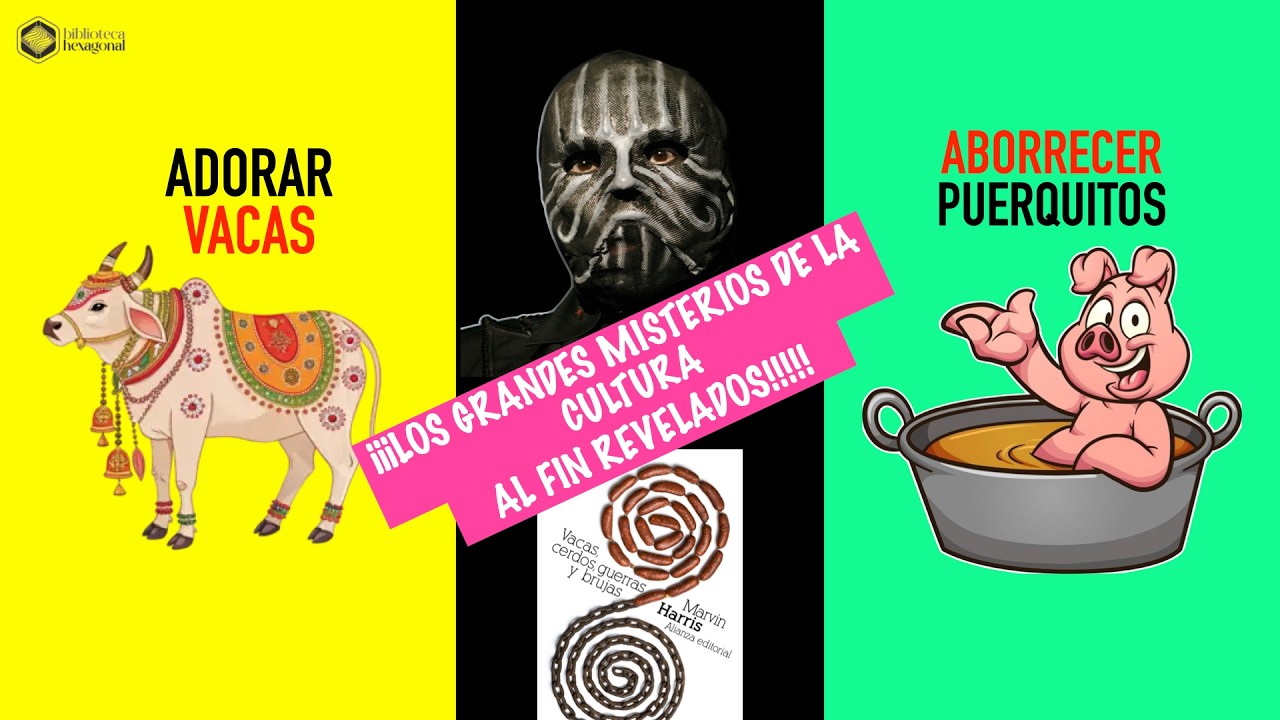 Adorar vacas 🐄 y aborrecer puerquitos 🐷 | La antropología cultural en Marvin Harris