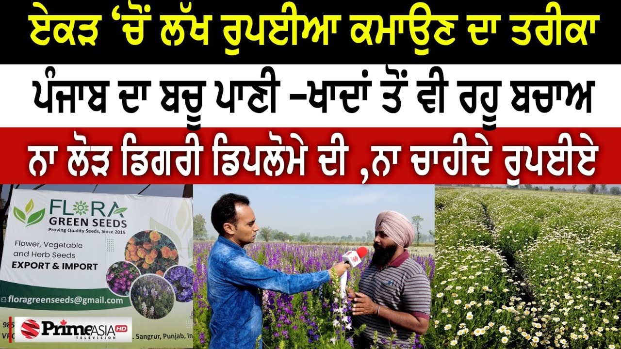 How to earn lakhs of rupees per acre || ਏਕੜ ‘ਚੋਂ ਲੱਖ ਰੁਪਈਆ ਕਮਾਉਣ ਦਾ ਤਰੀਕਾ || Prime Time (1353)