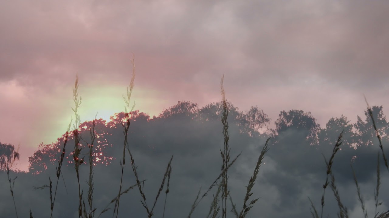 Saraband Wurtner Orgel