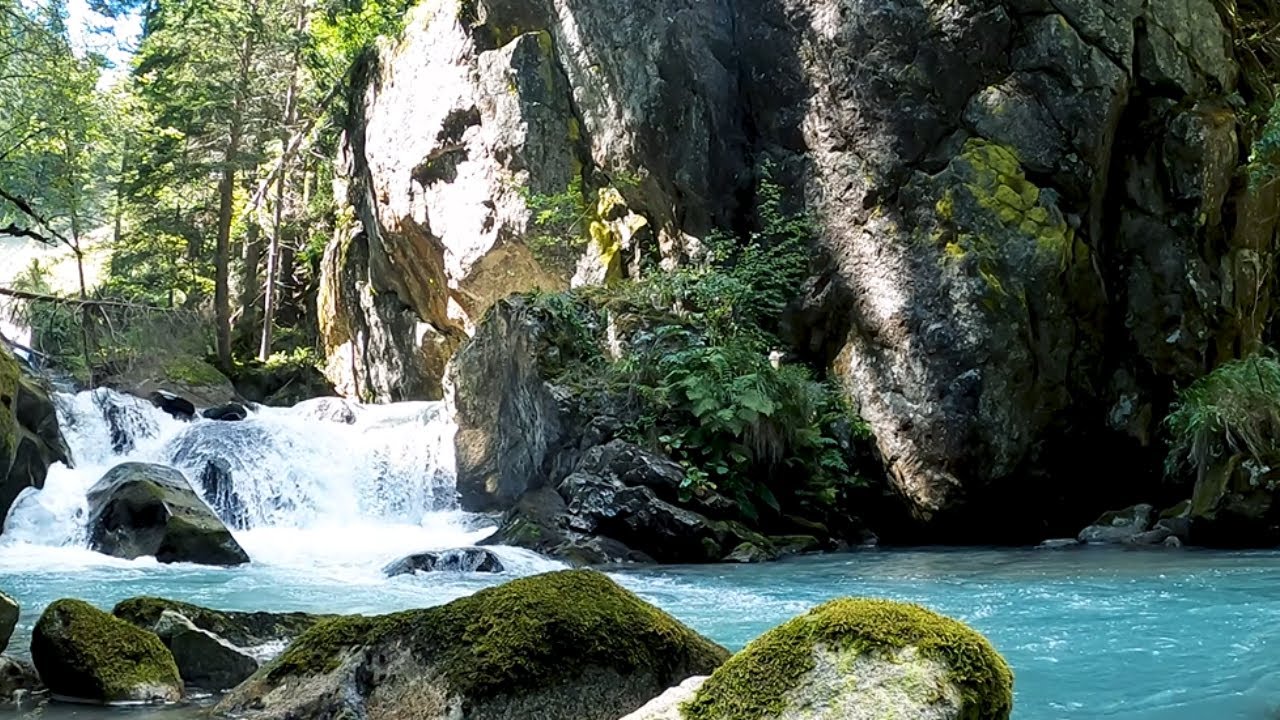 Forest Relaxing Music 🌿 1 5 Hours of Deep Focus, Healing Calm & Better Circulation