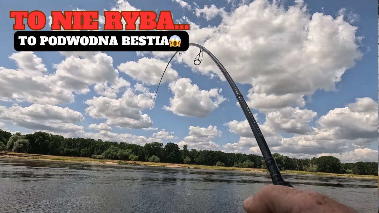 To nie była ryba    to była podwodna bestia