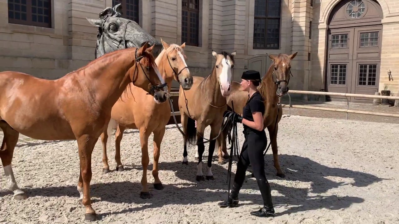 Mathilde et ses 4 chevaux dorés