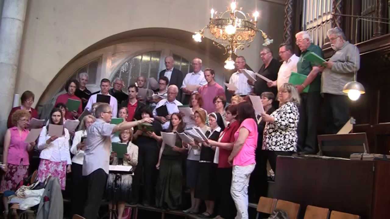 Stanko Premrl - Danica svetila