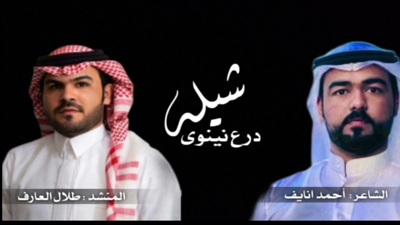 درع نينوى