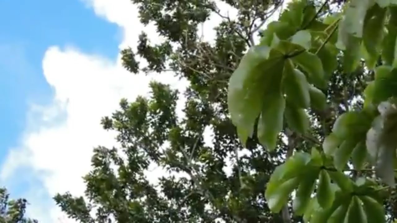 Agar Hum Kahen Aur Woh Muskura Den