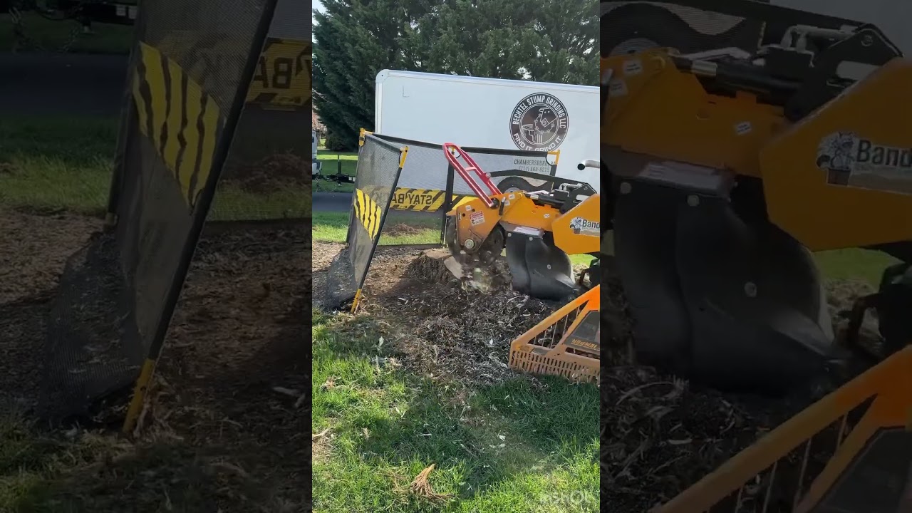Stump Removal with Grinding