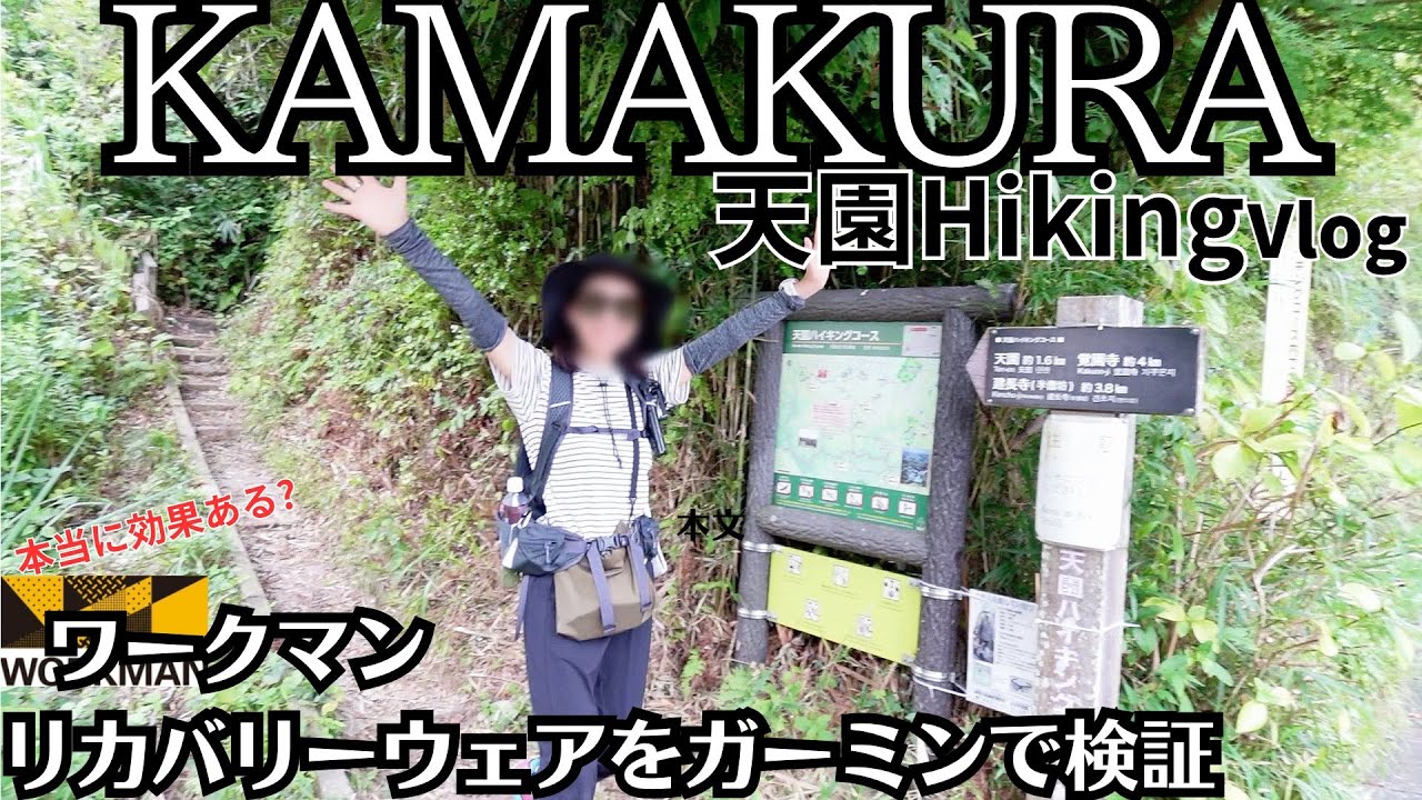【登】明月院通りからの￥0天園ハイキング/コース案内/初心者OK/リカバリーウエア検証結果が出た！/Kamakura/Hiking