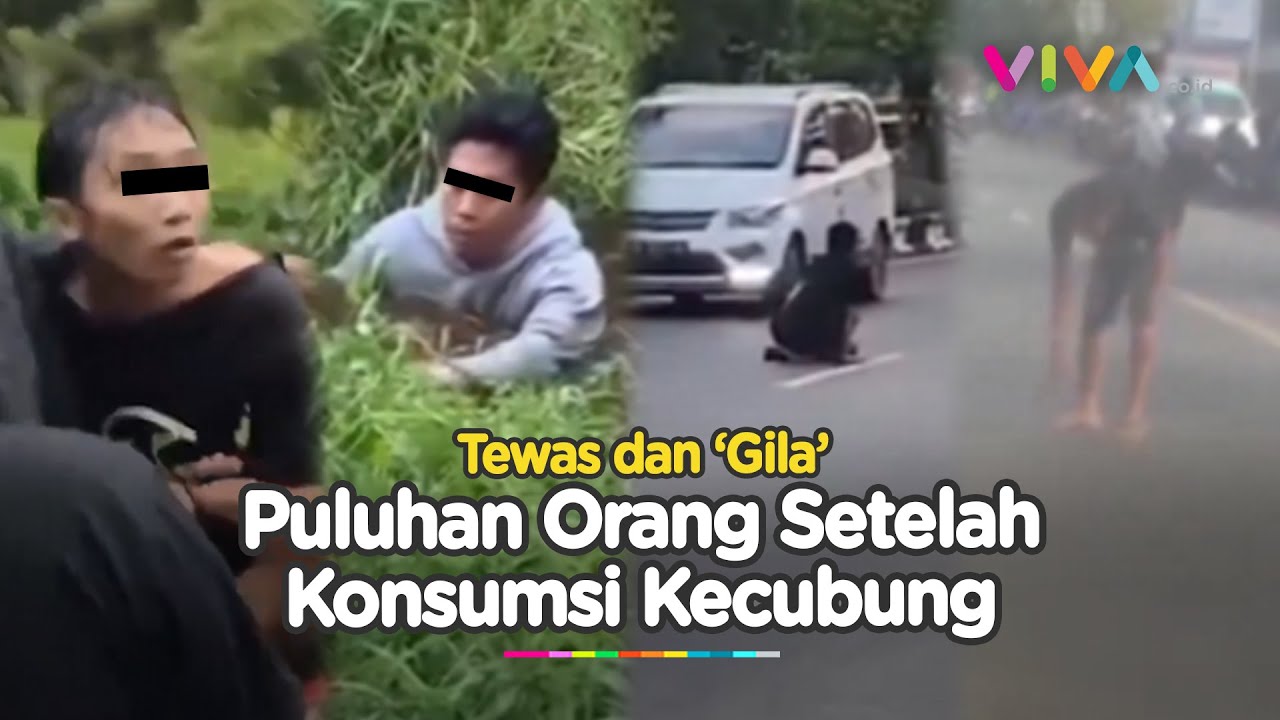 Tingkah Aneh Puluhan Orang Mabuk Kecubung Sebelum Masuk RSJ