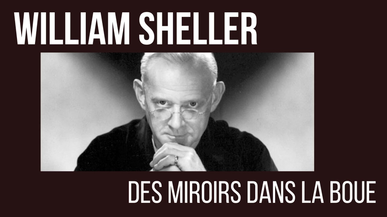 William Sheller - Les Miroirs Dans La Boue - Piano Solo