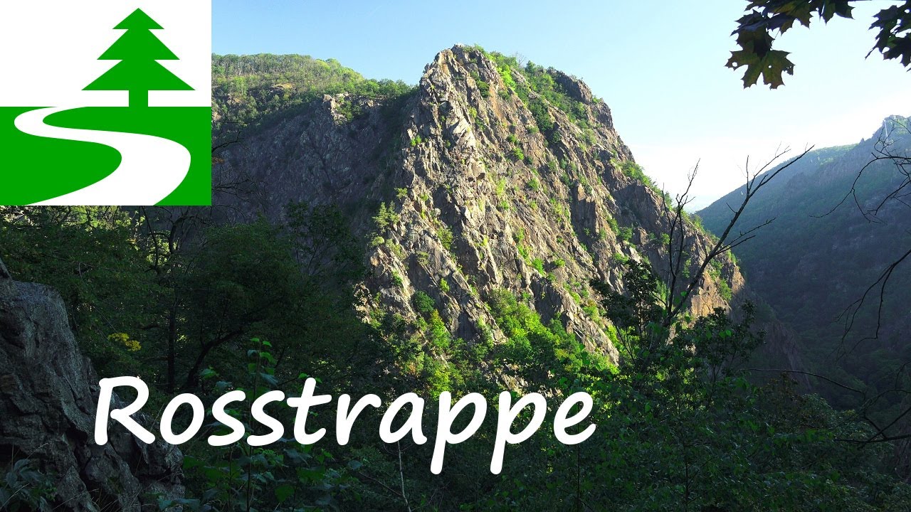 Wanderung auf die Rosstrappe (Schurre) im Harz