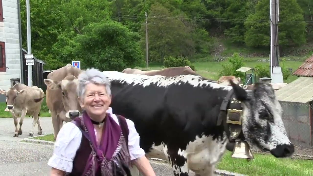 TRANSHUMANCE 2023 FERME AUBERGE UFF RAIN