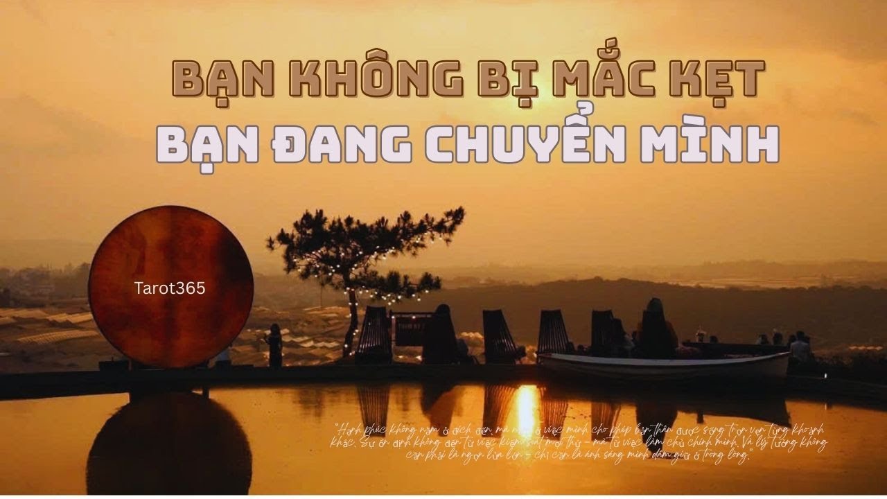 Tarot365 | Bạn Không Bị Mắc Kẹt Bạn Đang Chuyển Mình |Trải Bài Tarot Chữa Lành & Khai Sáng Nội Tâm